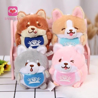 Shiba teddy 2024