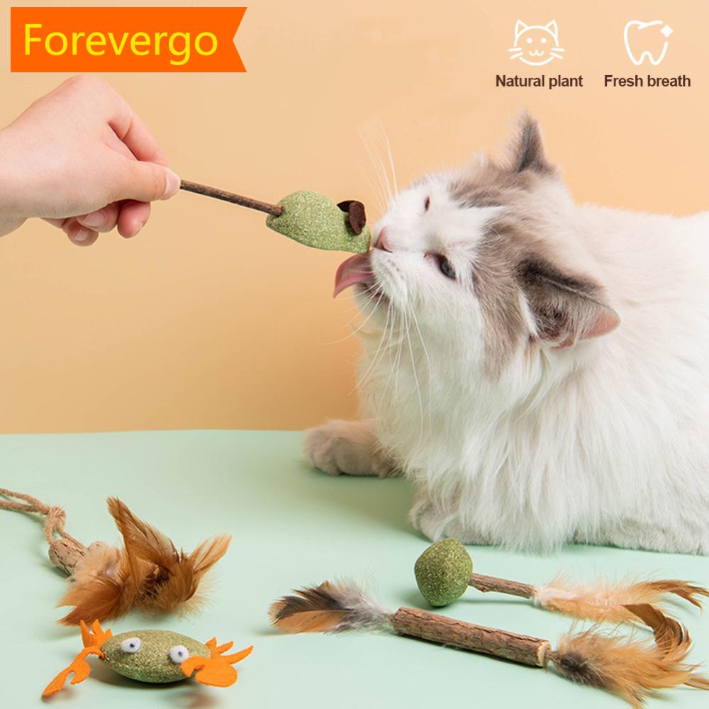 Catnip Cat Toy Safety Molar Dentes Limpeza De