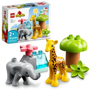 LEGO duplo animais selvagens da áfrica (10 peças)