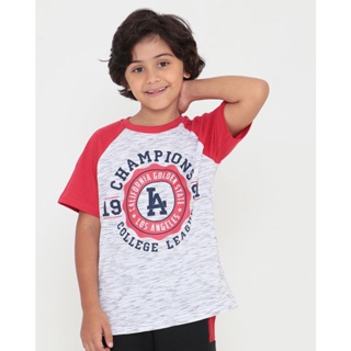 Camiseta Infantil Flamê Raglan Estampa L.A. Cinza Claro