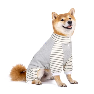 Casaco De Inverno Big Dog : Roupas Anti-Frio Forradas A Velo Para Labrador E Golden Retriever