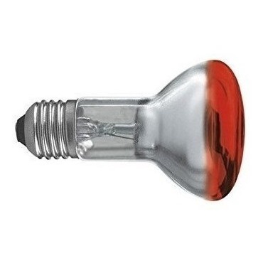Lampada Vermelha R63 240v 40w E27 refletora | Shopee Brasil