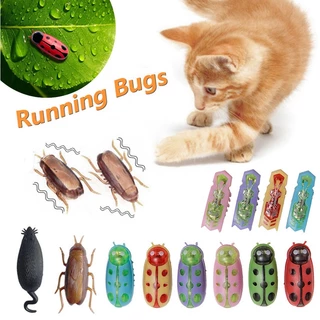 Funny Electric Bugs Cat Toy Mini Robô De Fuga Automático De Insetos Vibração Para Gatos Brinquedos De Barata Operados A Bateria Joaninha
