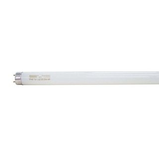 Lampada Fluor Tub Conv/Elet 36W T8 6400K Taschibra