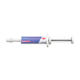 Suplemento Levu Flora Pré e Probiótico Biovet 14g