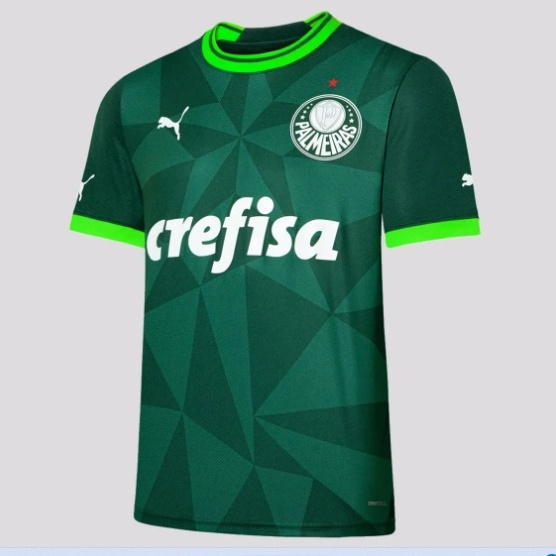 2023 Camisetas do Palmeiras Masculina Todos os Modelos Disponíveis Entrega Rápida.