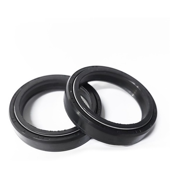 Retentor Garfo Dianteiro 43 X 55 X 9,5 / 10,5 Zx 10 R Outras
