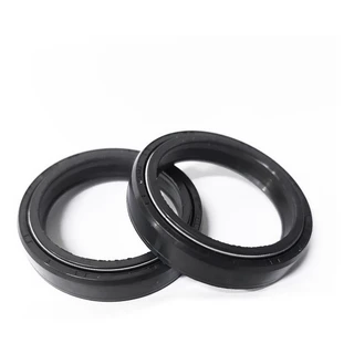 Retentor Garfo Dianteiro 43 X 55 X 9,5 / 10,5 Zx 10 R Outras