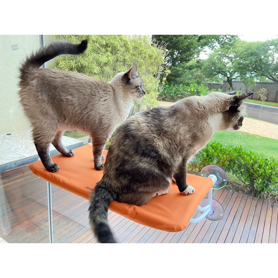 Cama De Janela Para Gatos Pet Suspensa Super Luxo Petlon