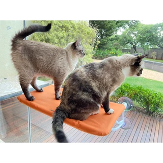 Cama De Janela Para Gatos Pet Suspensa Super Luxo Petlon