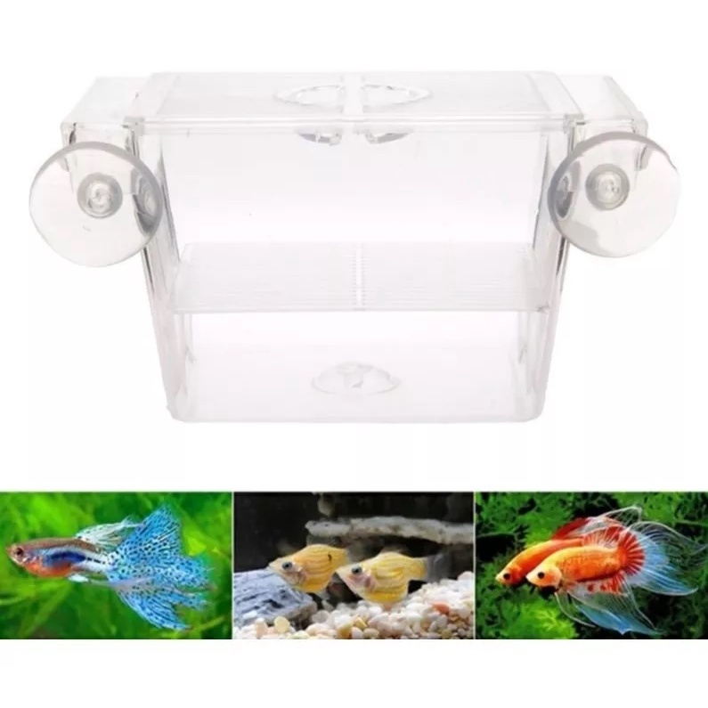 Mini Criadeira Flutuante De Acrílico Skrw Cr-07 12x7x7cm