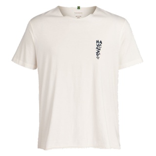 Camiseta Havaianas Gola V Viva La Vida