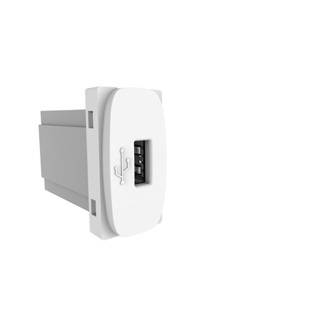 Modulo Tomada Usb 2A Bivolt Branco acia Alumbra