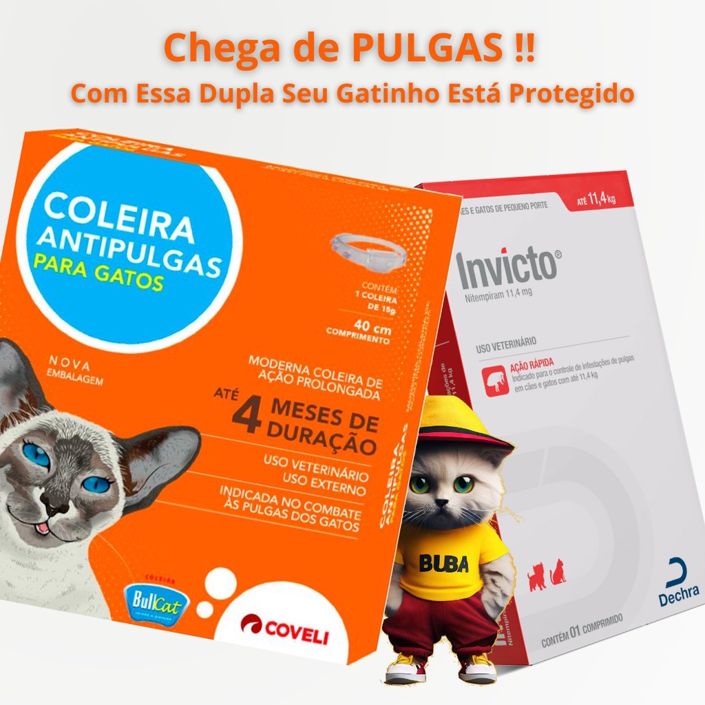 KIT Anti Pulgas Para Gatos - Coleira Bullcat 15 g + 1 Comprimido ...