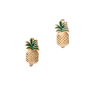 Top Pins Havaianas 2