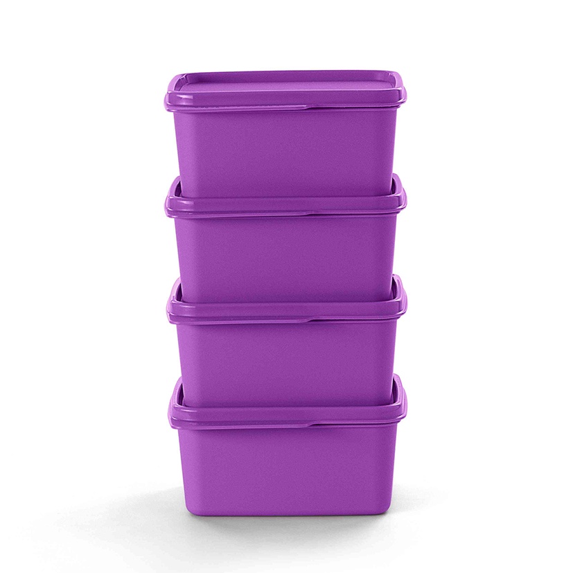 Kit 4 Basic Line 500ml Roxa | Shopee Brasil