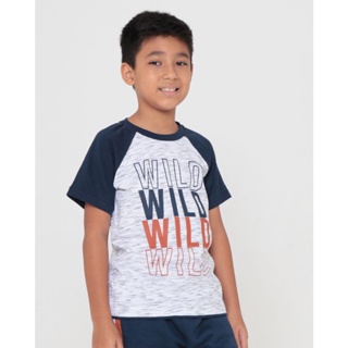 Camiseta Infantil Rajada Raglan Wild Cinza