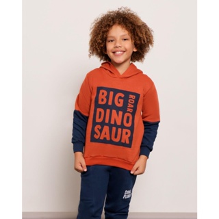 Blusão Moletom Infantil Estampa Big Dinossaur Marrom