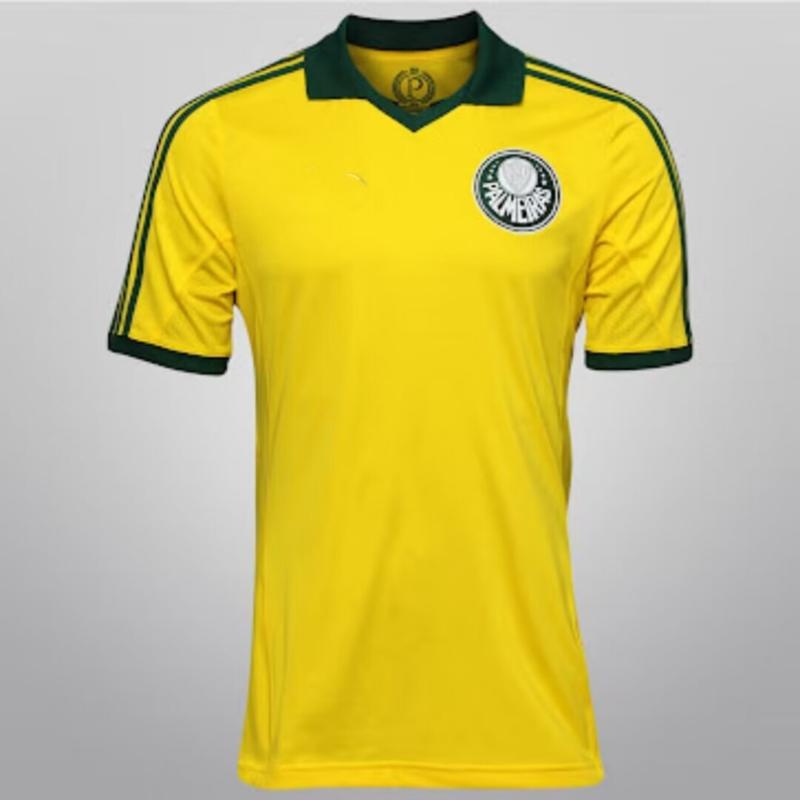 t-shirt camiseta palmeiras ♡ (png) em 2023  Camisetas do palmeiras, Camisa  da frança, Camiseta