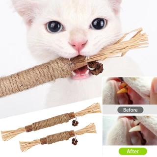 Brinquedos De Gato Silvervine Stick De Mastigar Pet Snacks Sticks Coisas Naturais Com Catnip Para Gatos Gatinhos Acessórios Limpeza Dos Dentes Katze