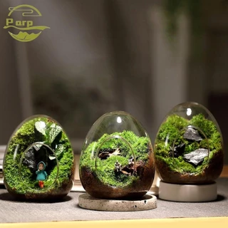 Parperperty1 Garrafas De Vidro Fleshy Egg Em Forma De Ovo Terrarium Micro Landscape Glass