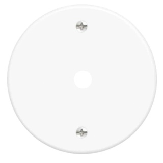Placa 3F6 Blank Fame