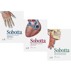 Friedrich Paulsen e Jens Waschke - Sobotta: Atlas de Anatomia Humana 3  Volumes