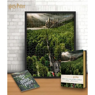 ARTE DE HARRY POTTER, A - BELAS LETRAS
