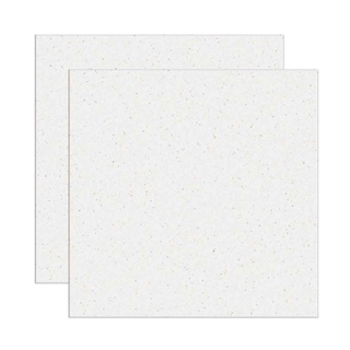 Piso cerâmico esmaltado bold Tróia Rotocolor 44,75x44,75cm branco Formigres