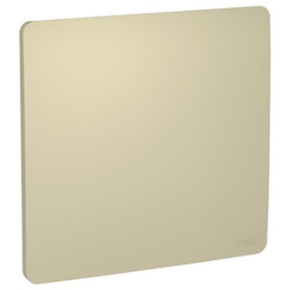 Placa 4x4 cega horizon gold orion Schneider