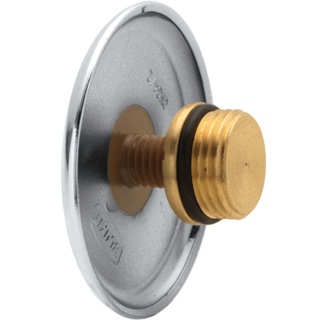 Plug com rosca 1/2" e canopla Blukit