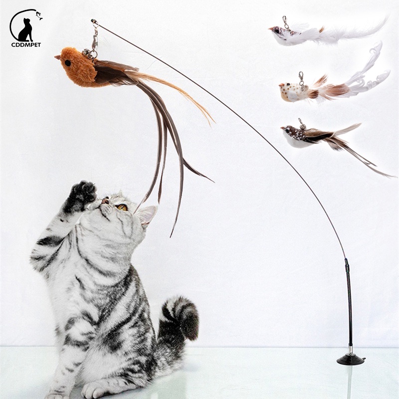 Gato Simulação Pássaro Brinquedos Interativos Engraçado Pena Com Sino Vara Brinquedo Para Cães Gatinho Que Joga