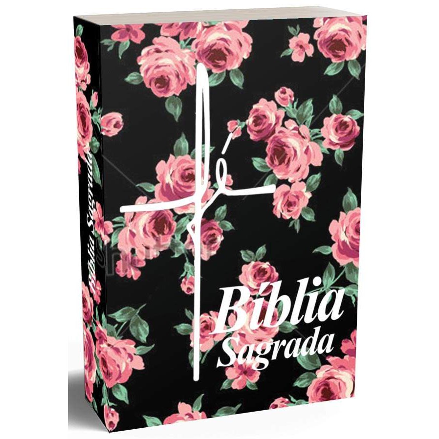Bíblia Sagrada - Eu Tenho Fé - Possui Antigo e Novo Testamento ...