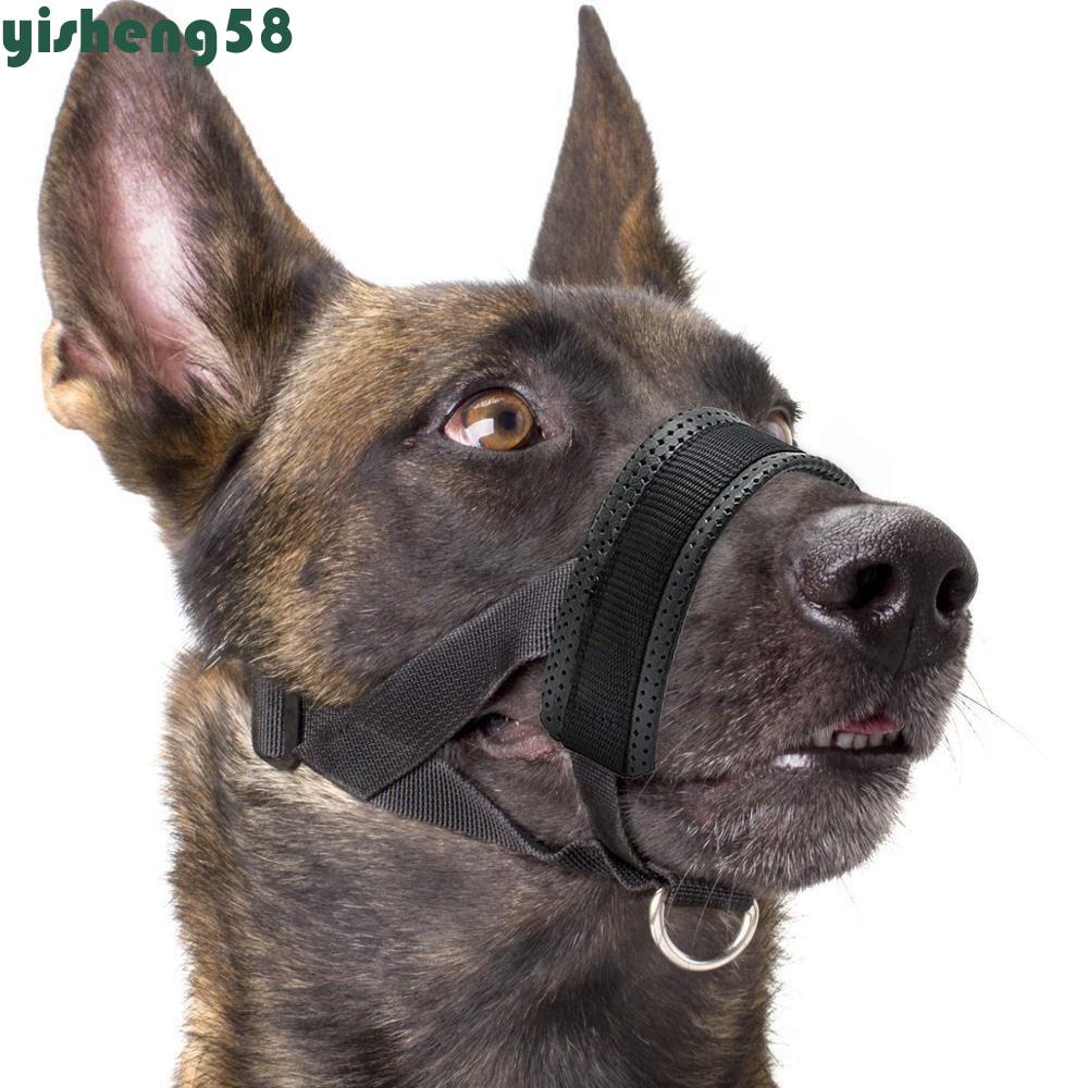 Dog muzzle clearance nylon