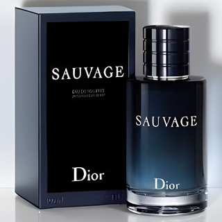 DIOR SAUVAGE MEN 100ML EDT - MENORES preços do BRASIL em 10x SEM JUROS