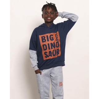 Blusão Moletom Infantil Estampa Big Dinossaur Marinho