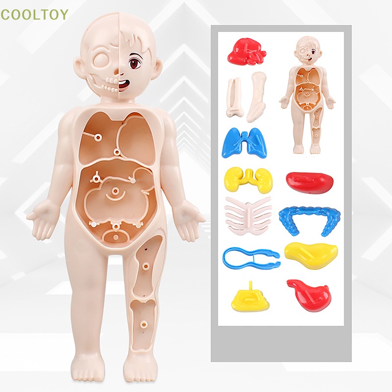 Corpo Humano de Encaixe - Majoca Colorê Brinquedos Educativos