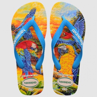 Chinelo Havaianas Instituto BEI