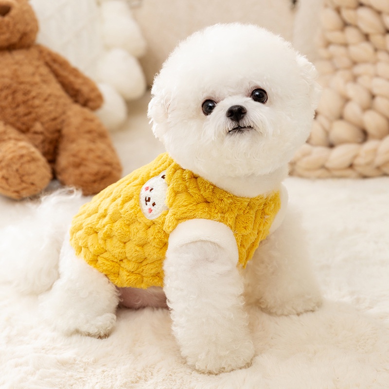 Teddy bichon store