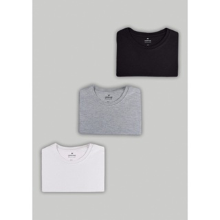 Kit Com 3 Camisetas Femininas Básicas Hering