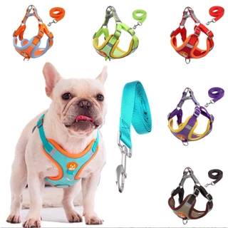 Peitoral Coleira Cachorro e Gato, conjunto de guia + coleira tipo colete para pet pequenos e médios Várias Cores