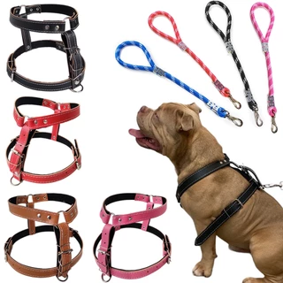 Peitoral para Cachorros Coleira Peitoral com Guia para Caes