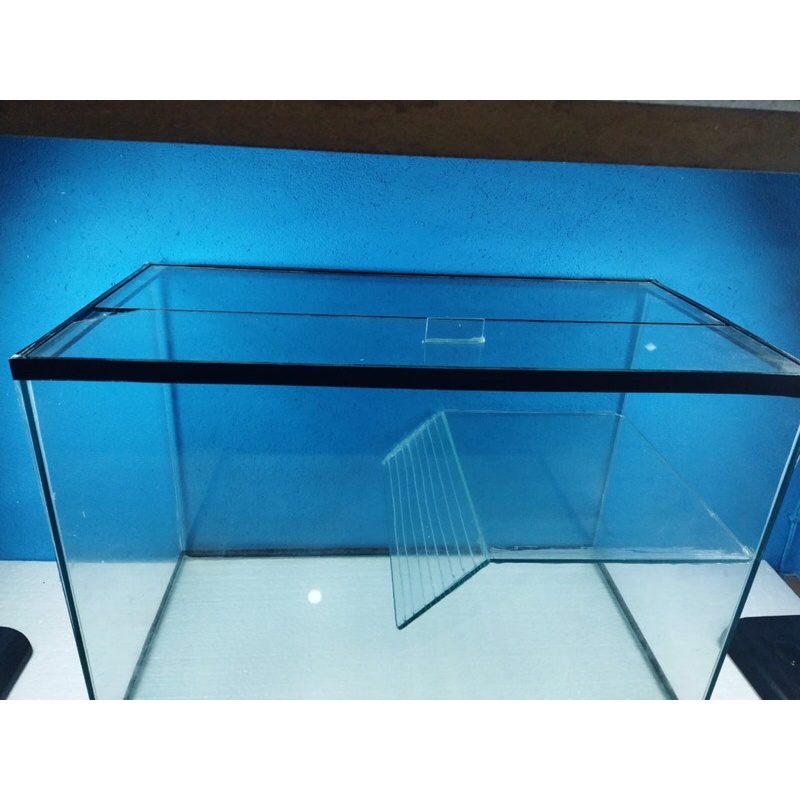 Aquário grande para tartaruga 50x25x35 vidro 4mm