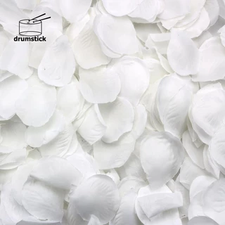 5000 Pétalas De Rosas Com Decoração Branca Espalhada Festa De Casamento