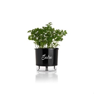 Vaso Autoirrigável Salsa Alt: 14cm X Larg: 16cm Preto.