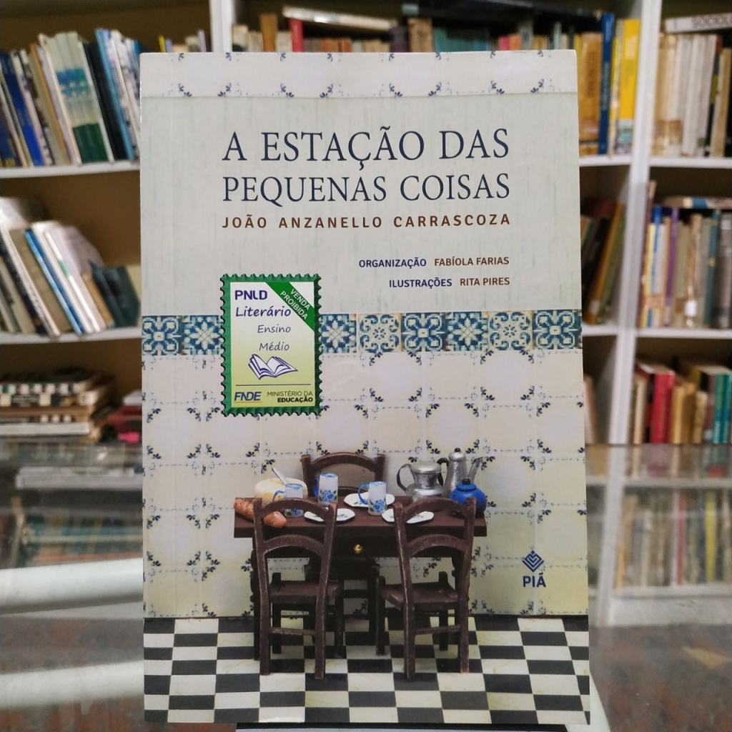 A ESTAÇÃO DAS PEQUENAS COISAS autor JOÃO ANZANELLO CARRASCOZA | Shopee ...