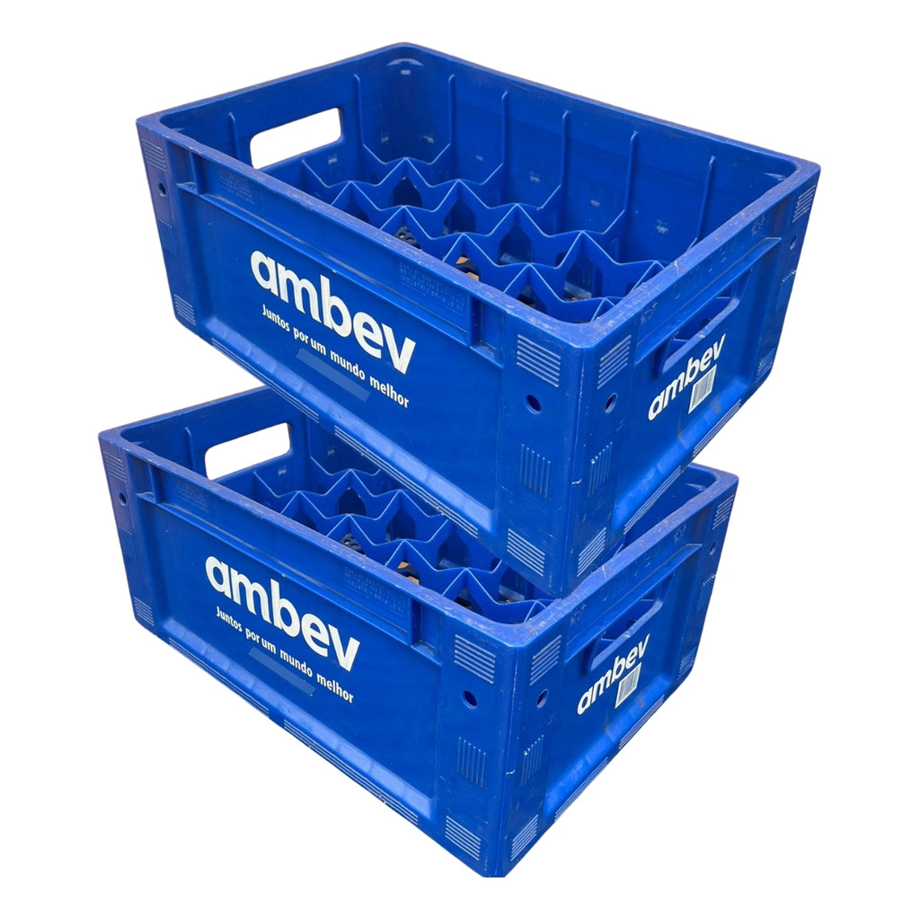 Kit 2 Garrafeira Engradado Cerveja 300ml Ambev Azul | Shopee Brasil
