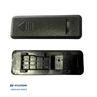 Acabamento Friso Teto I30 2009-2011 2.0 Original Hyundai