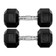 Par Halteres 10kg + 10kg Dumbbell Sextavado Emborrachado Pegada Cromada Gallant (GDB10F3B-PT)