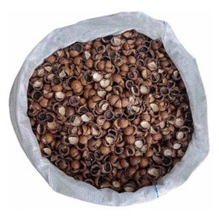 Casca De Macadâmia Substrato 25 Kg Para Cultivo De Plantas